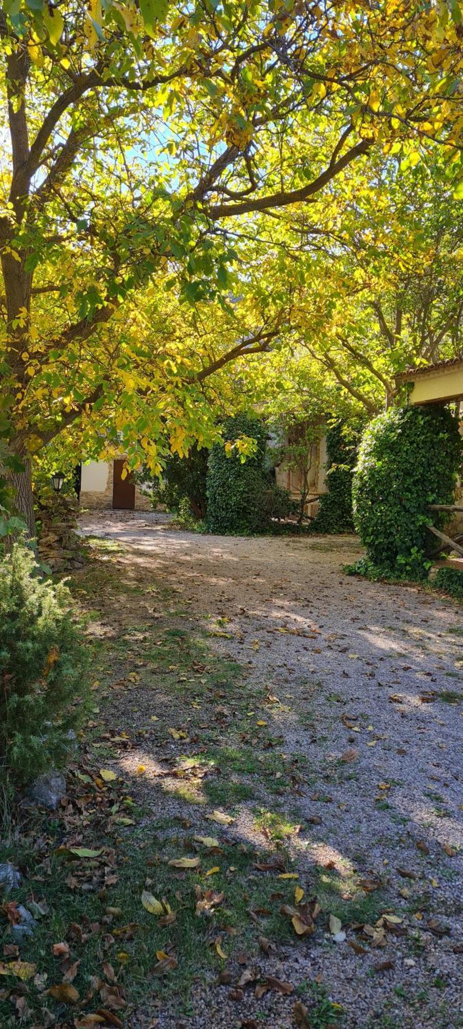 Casas Rurales Los Enebros Nerpio Exterior photo