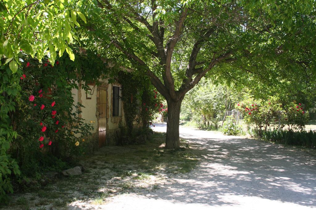 Casas Rurales Los Enebros Nerpio Exterior photo