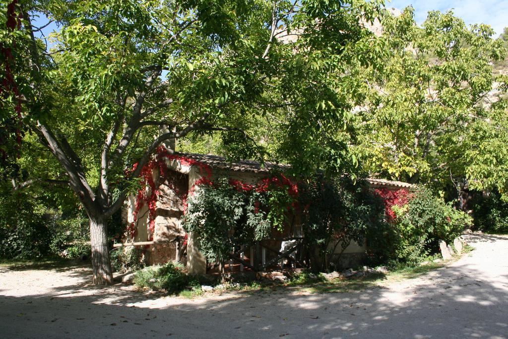 Casas Rurales Los Enebros Nerpio Exterior photo