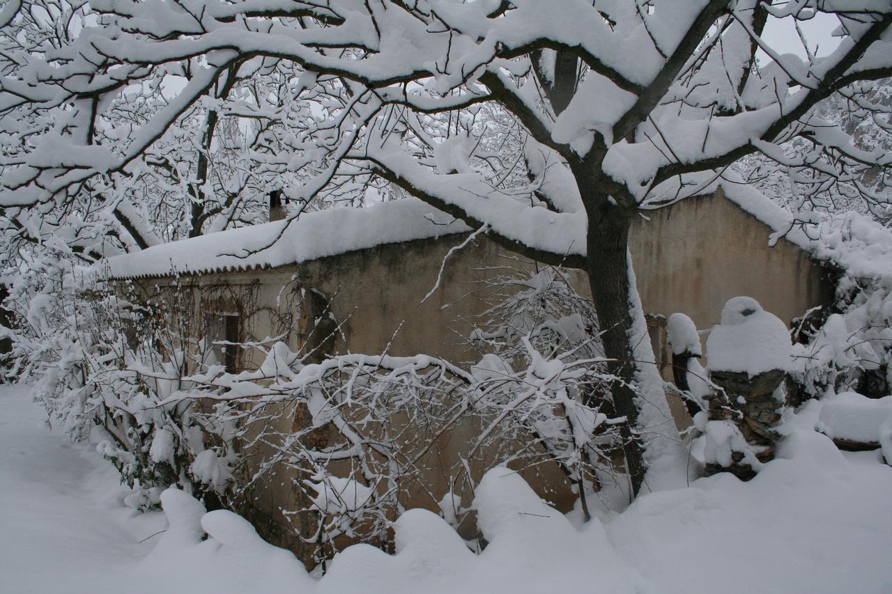Casas Rurales Los Enebros Nerpio Exterior photo