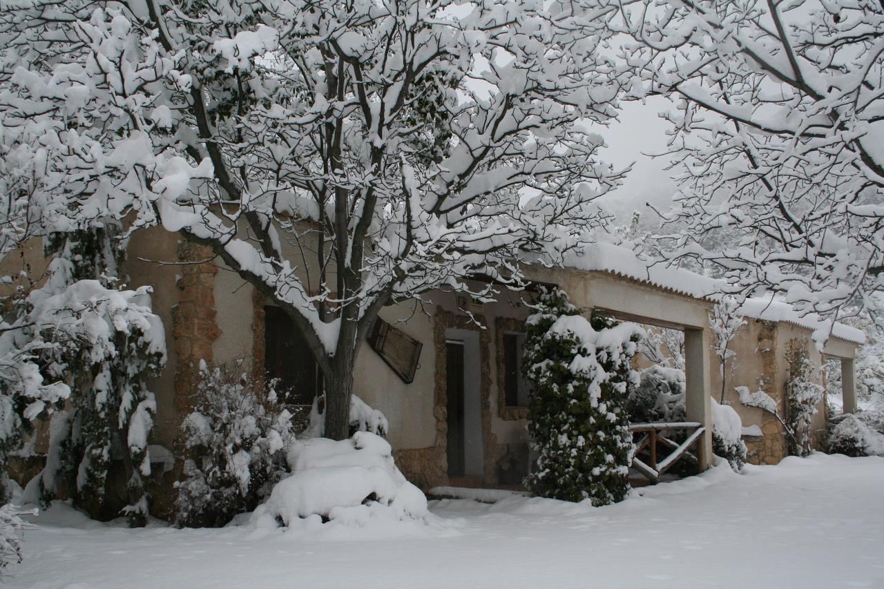 Casas Rurales Los Enebros Nerpio Exterior photo